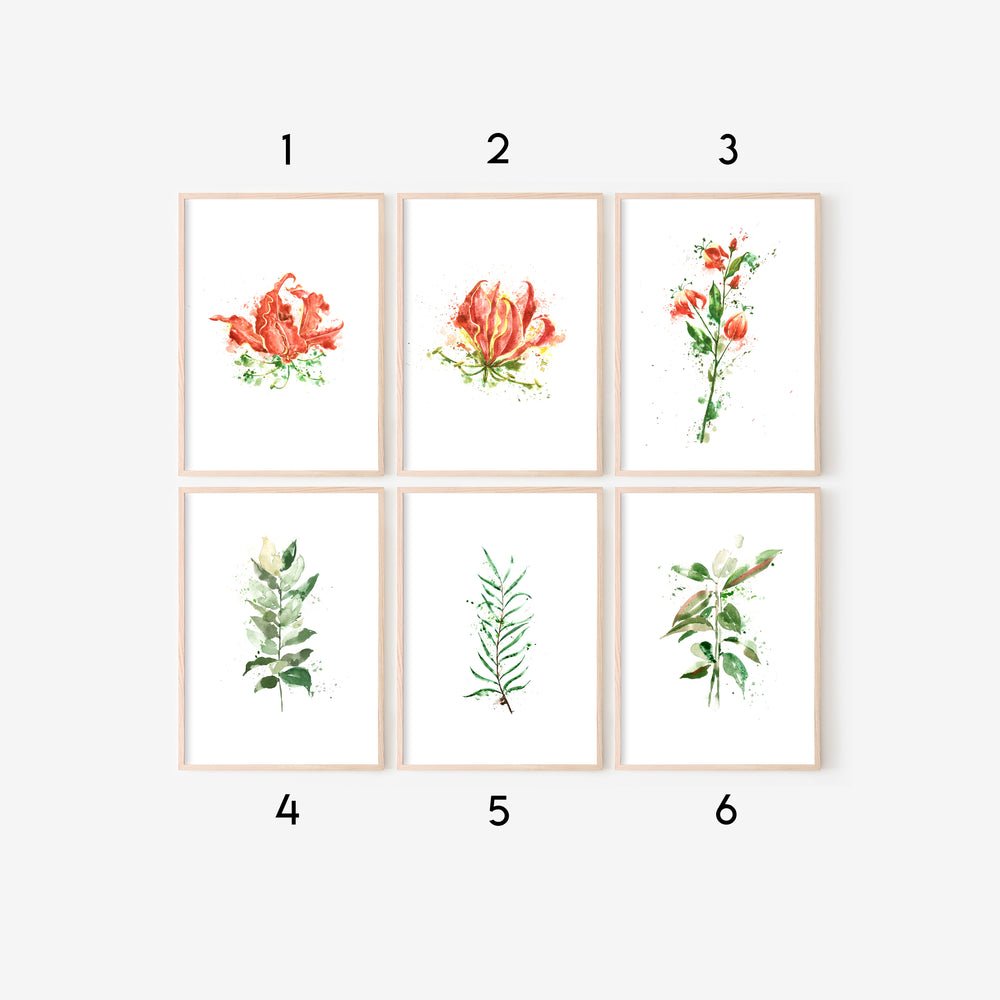 Karthikaipoo / Gloriosa Lily - Art Prints